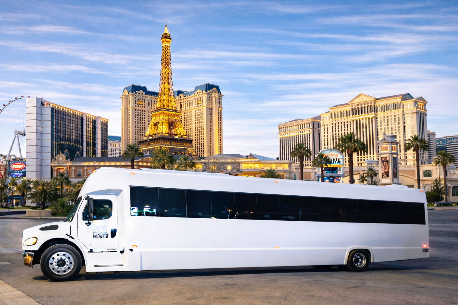 Party Bus Fleet 5 40 Passenger Party Bus.